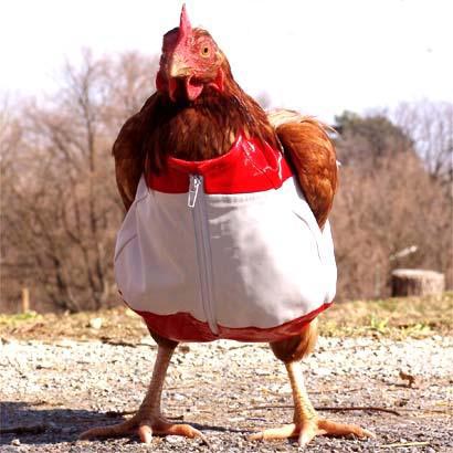 You are currently viewing How Fashion Can Fowl Up Your Day